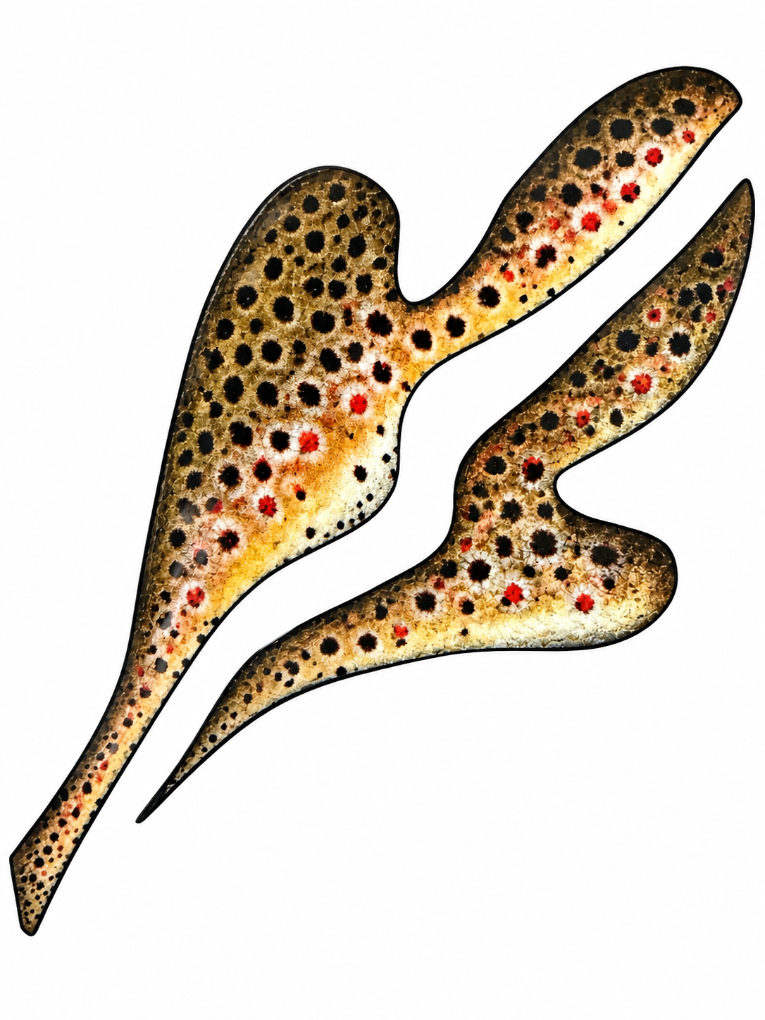 Brown Trout Decal